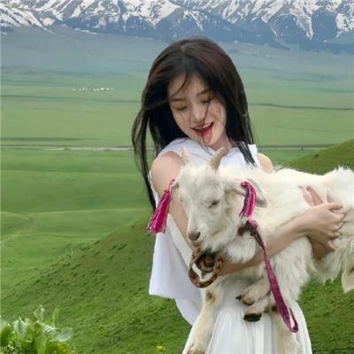 弯曲幸运草